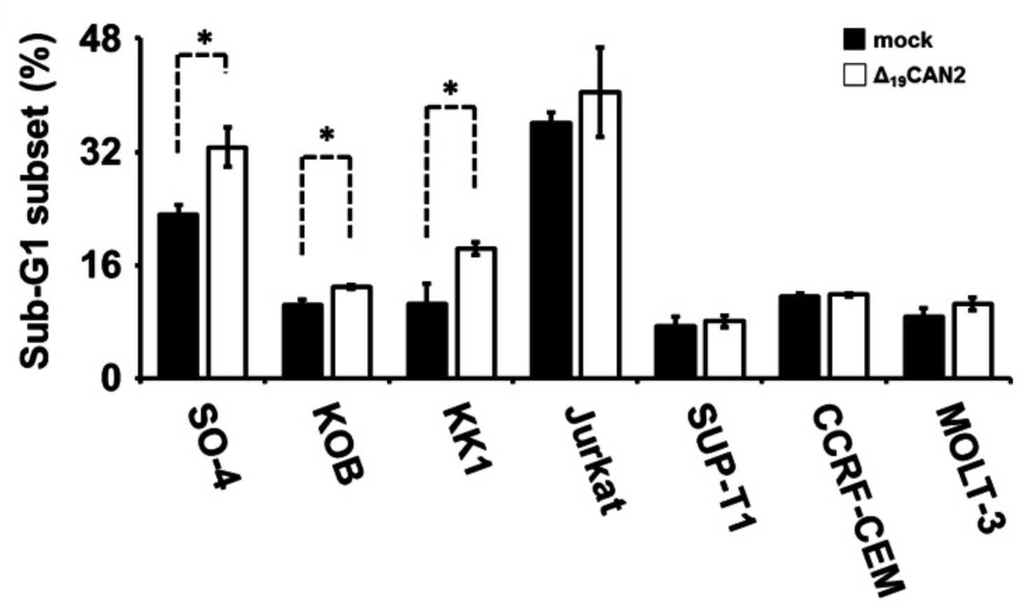 Overexpression of Δ19CAN2 significantly accelerated cell death.jpg